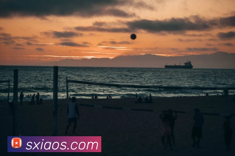 开云手机登录官网APP 封面图